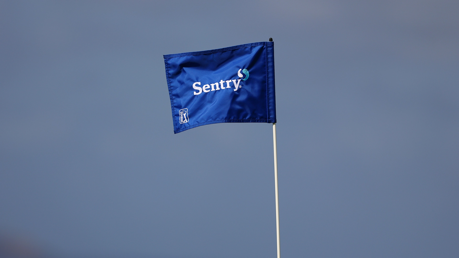 Pin Flag